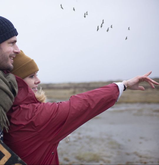 Birdwatching on island Schiermonnikoog