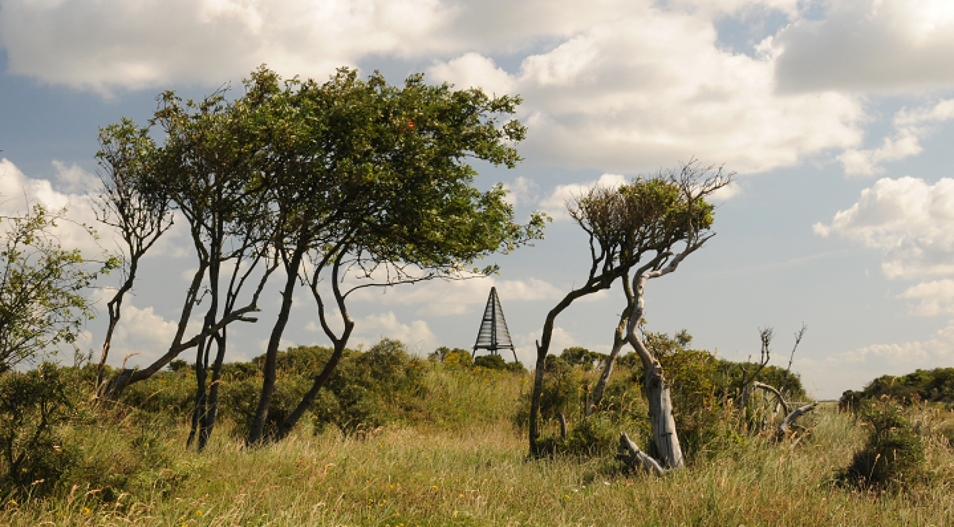 Bird watching at the Kobbeduinen