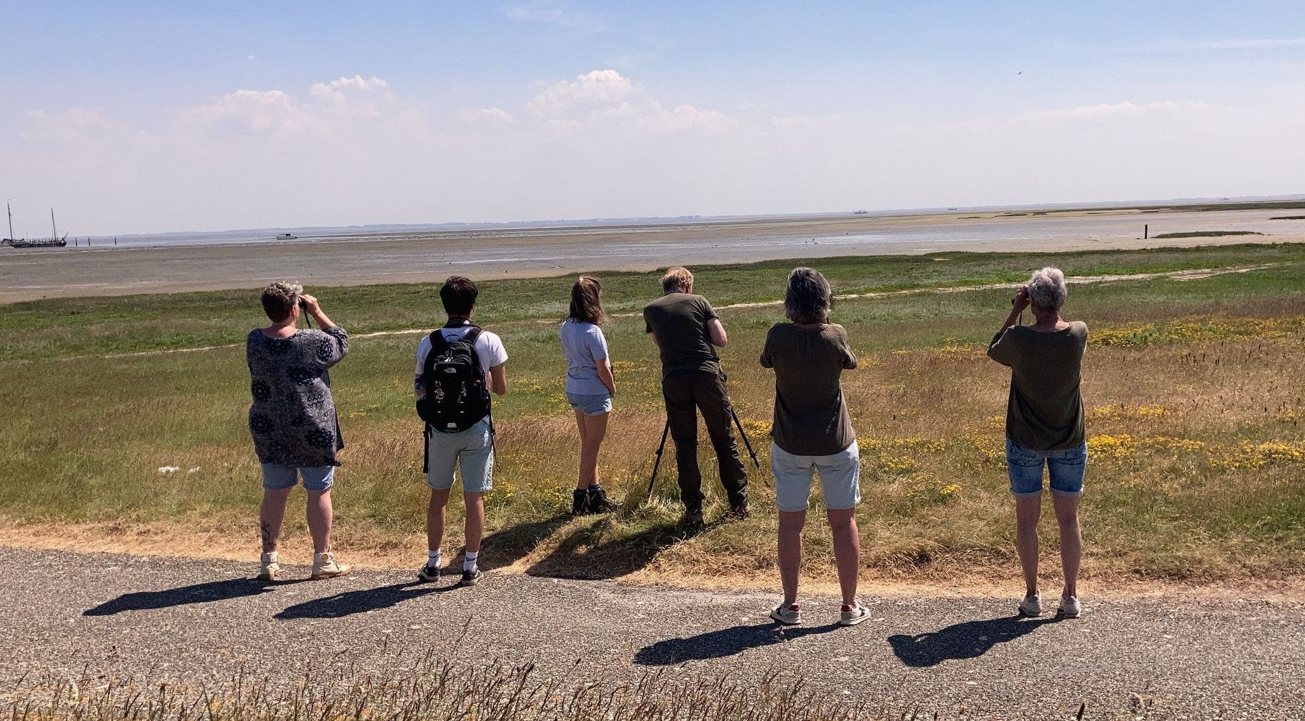 Birdwatching near the Waddensea