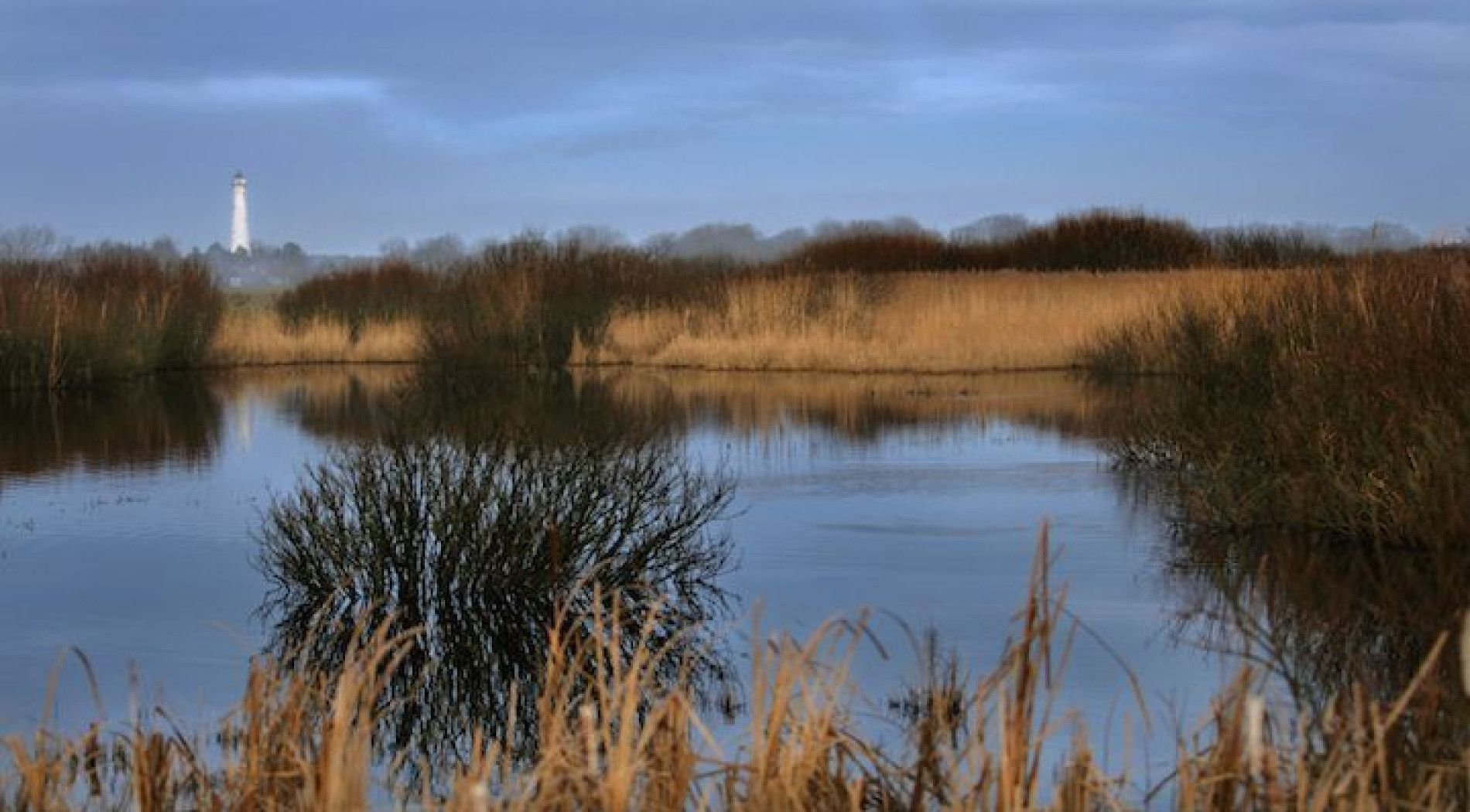 Birdwatching near the Westerplas