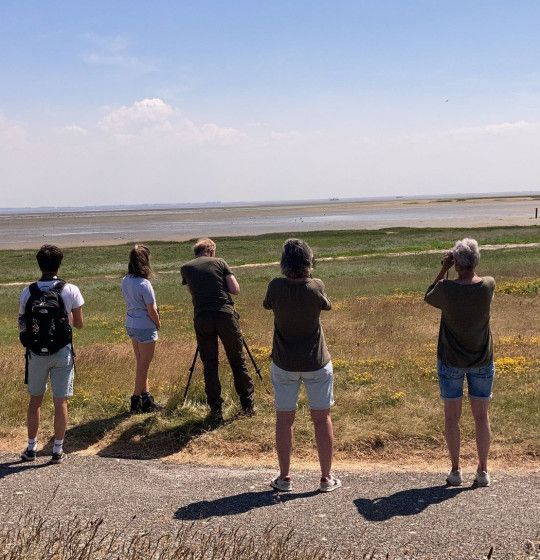 Birdwatching with a guide on island Schiermonnikoog