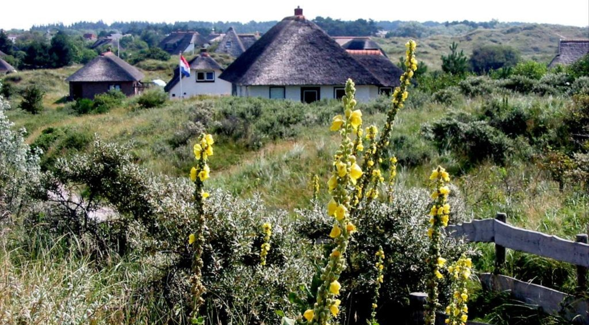 Huisje in de duinen