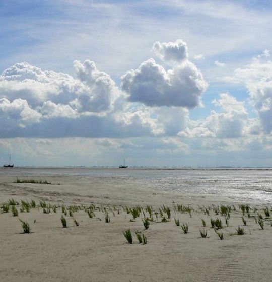 Wadden Sea