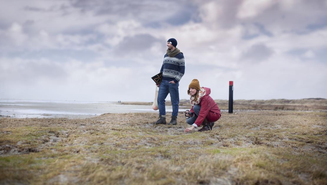 November wandelmaand Schiermonnikoog