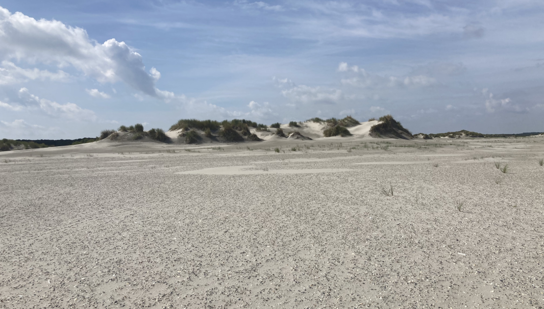 Waddenlicht op Schiermonnikoog